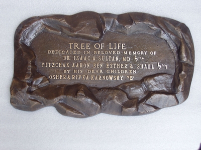 Trees of Life - Growing Tree 200